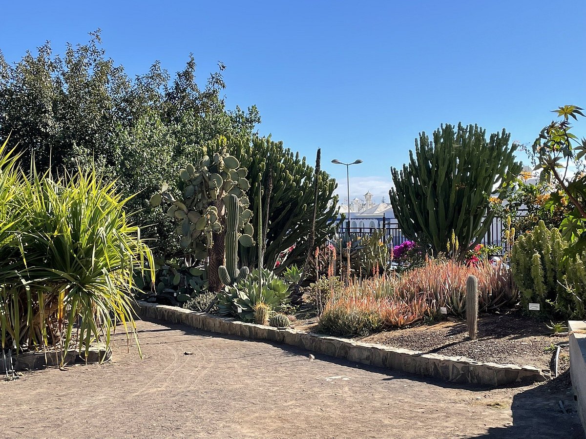 El Parque Botanico de Maspalomas